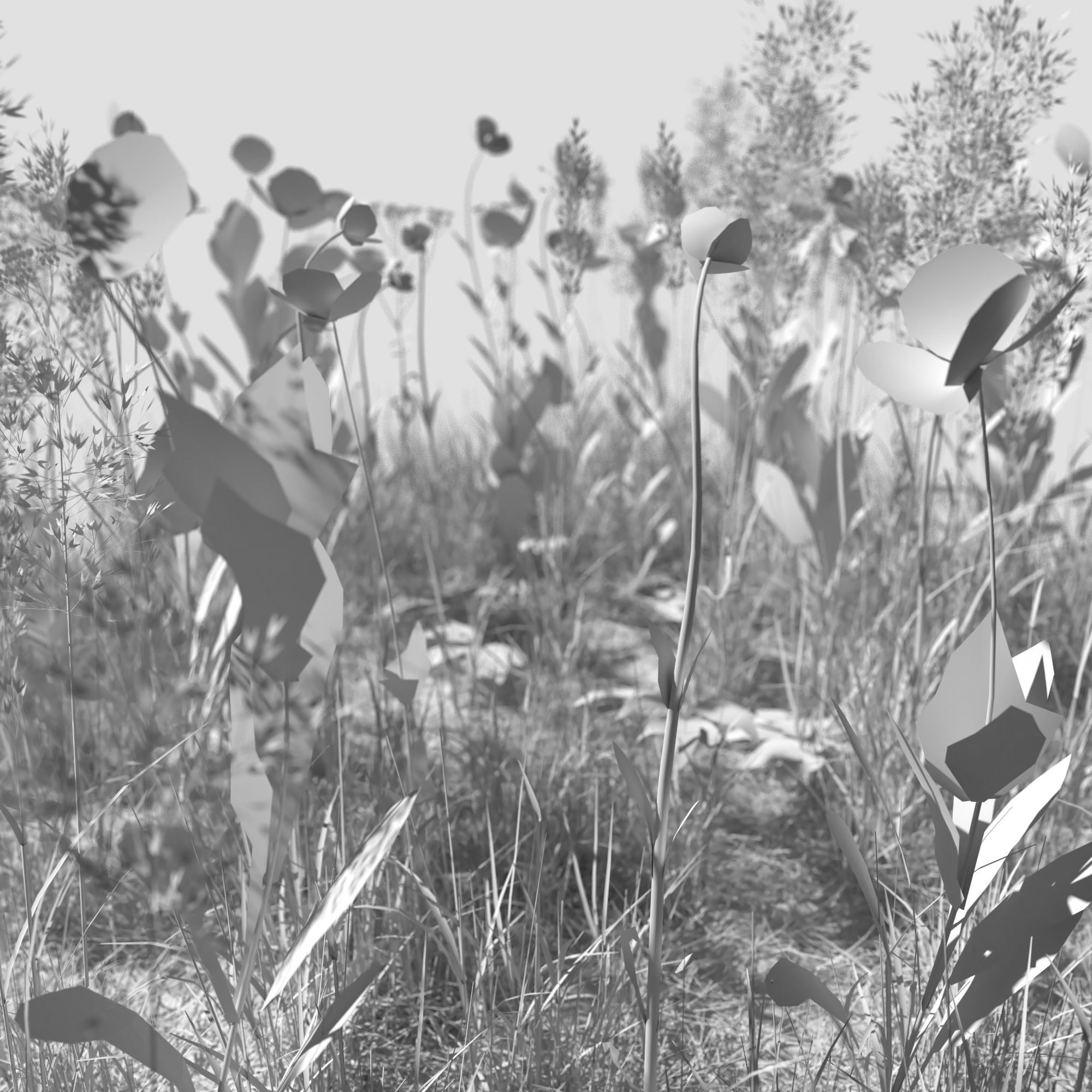 Poppy Meadow Patch and Free Gift 3D model_4