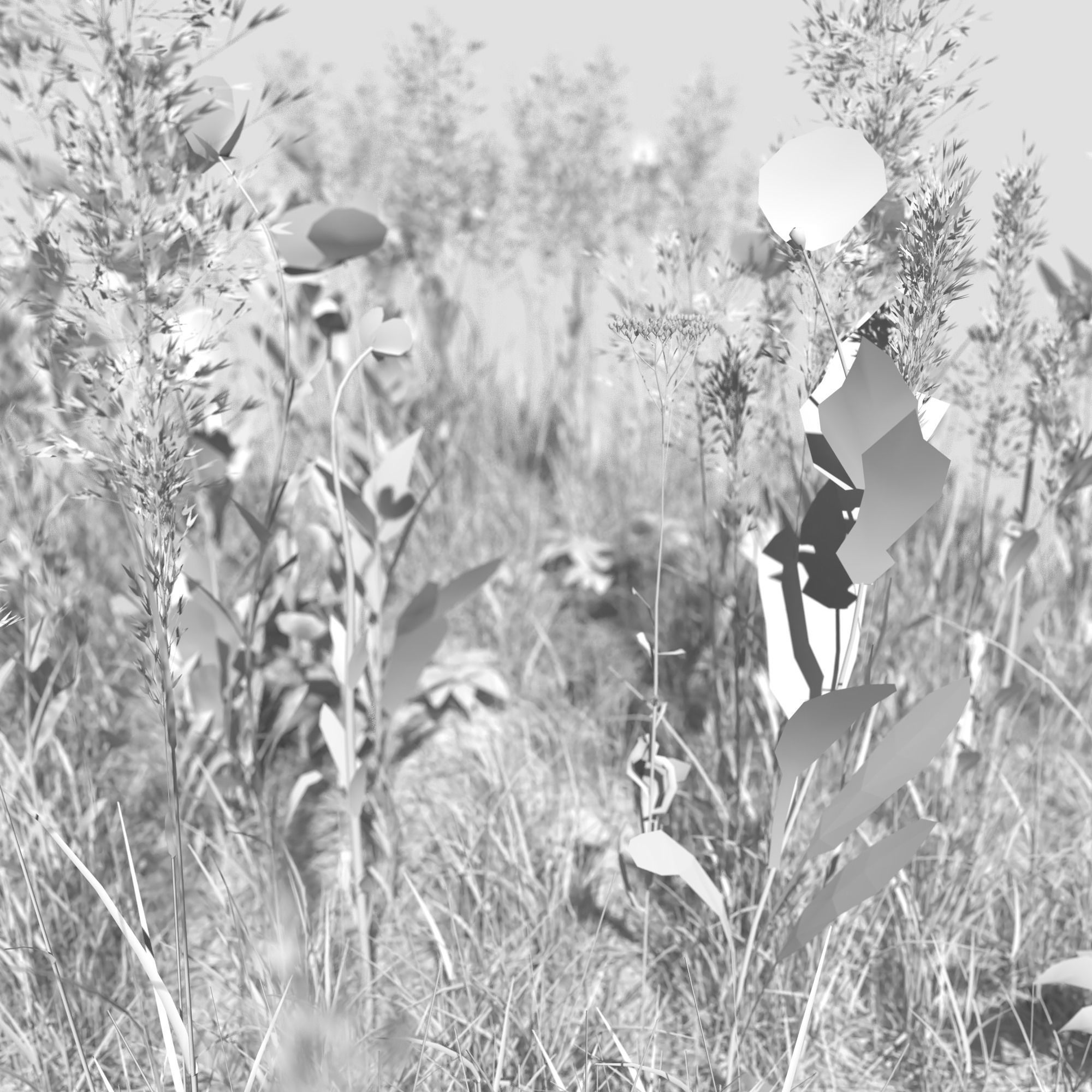 Poppy Meadow Patch and Free Gift 3D model_8