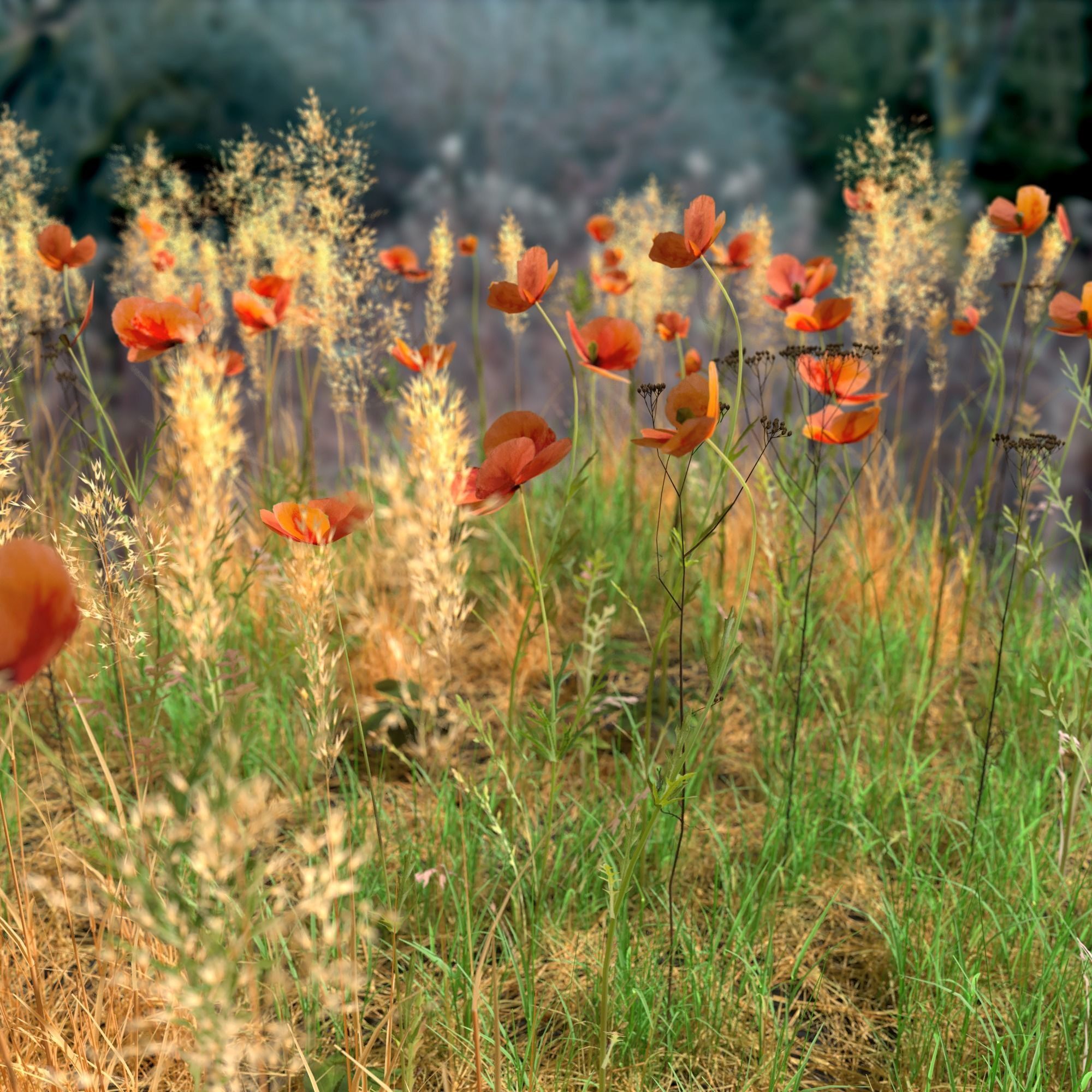 Poppy Meadow Patch and Free Gift 3D model_5