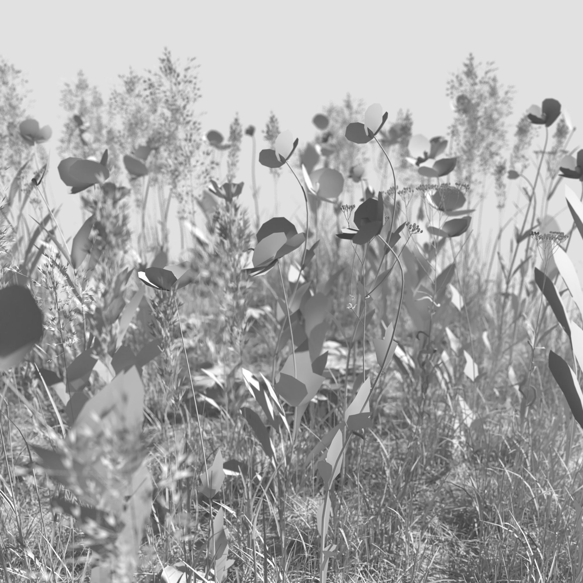 Poppy Meadow Patch and Free Gift 3D model_6