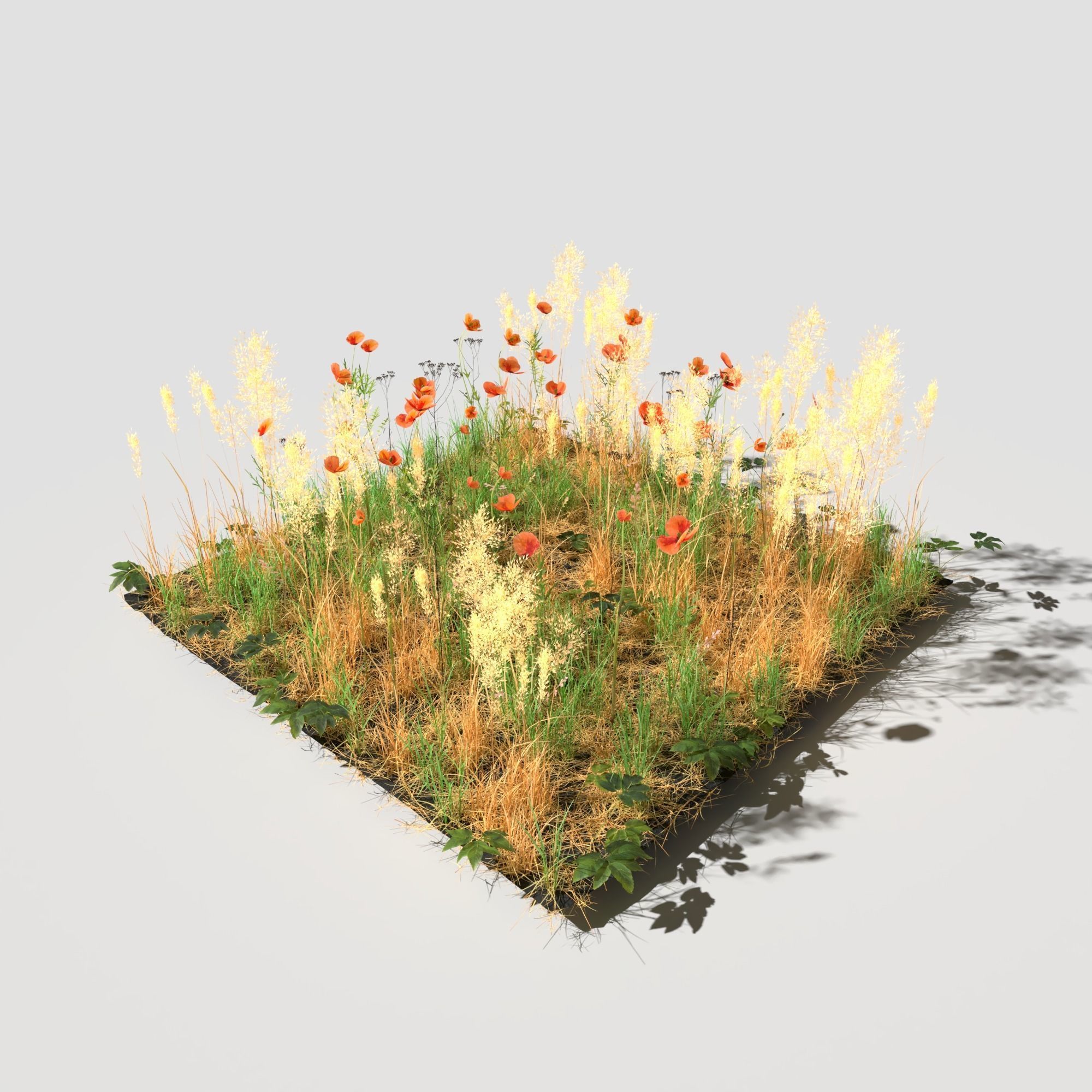 Poppy Meadow Patch and Free Gift 3D model_11