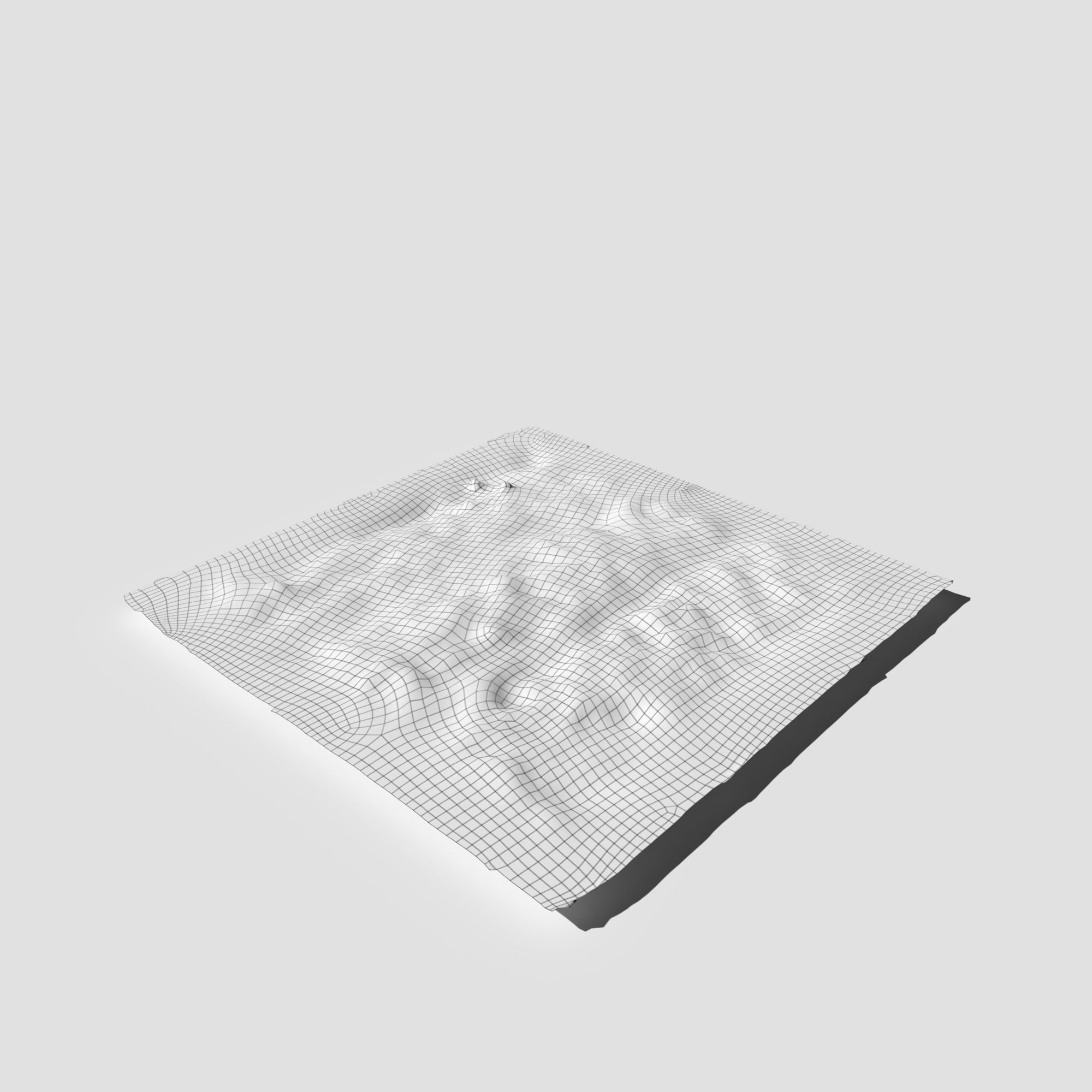 Poppy Meadow Patch and Free Gift 3D model_14