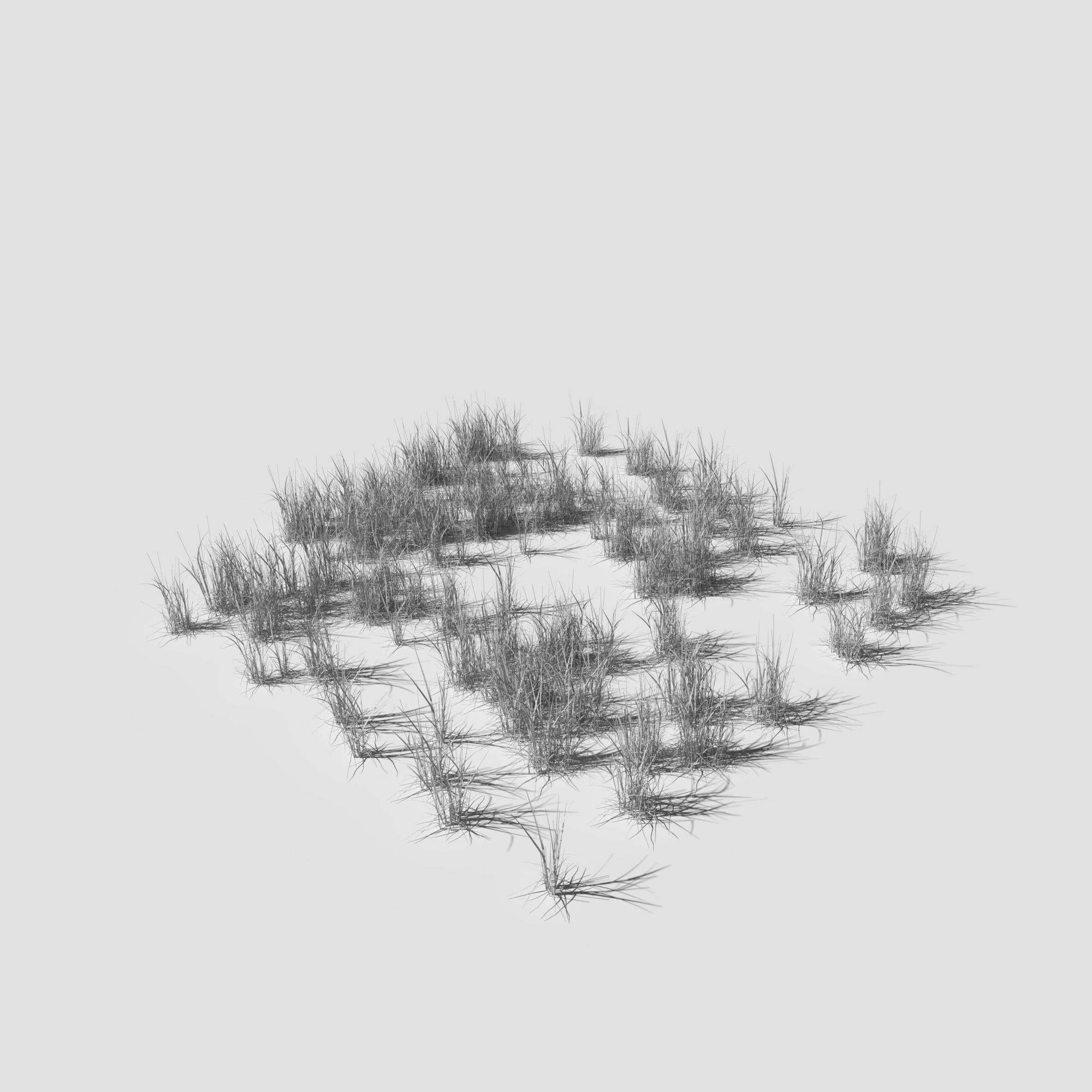 Poppy Meadow Patch and Free Gift 3D model_24