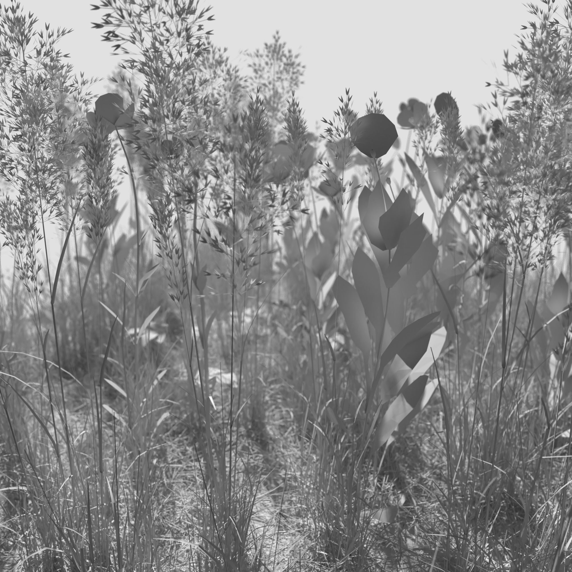 Poppy Meadow Patch and Free Gift 3D model_2