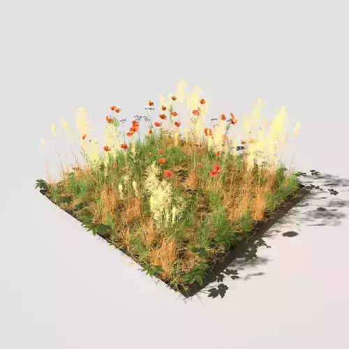 Poppy Meadow Patch and Free Gift 3D model
