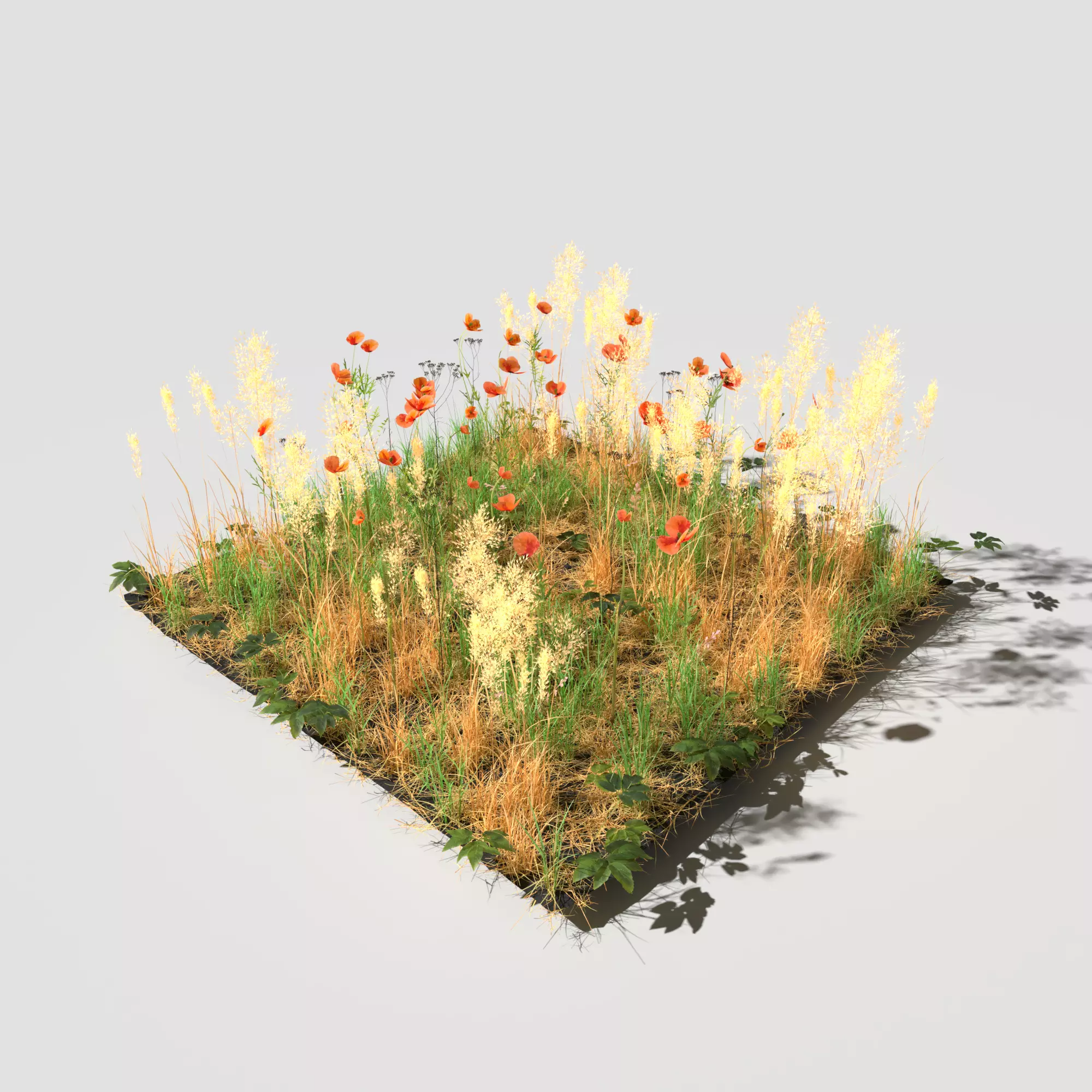 Poppy Meadow Patch and Free Gift 3D model_0