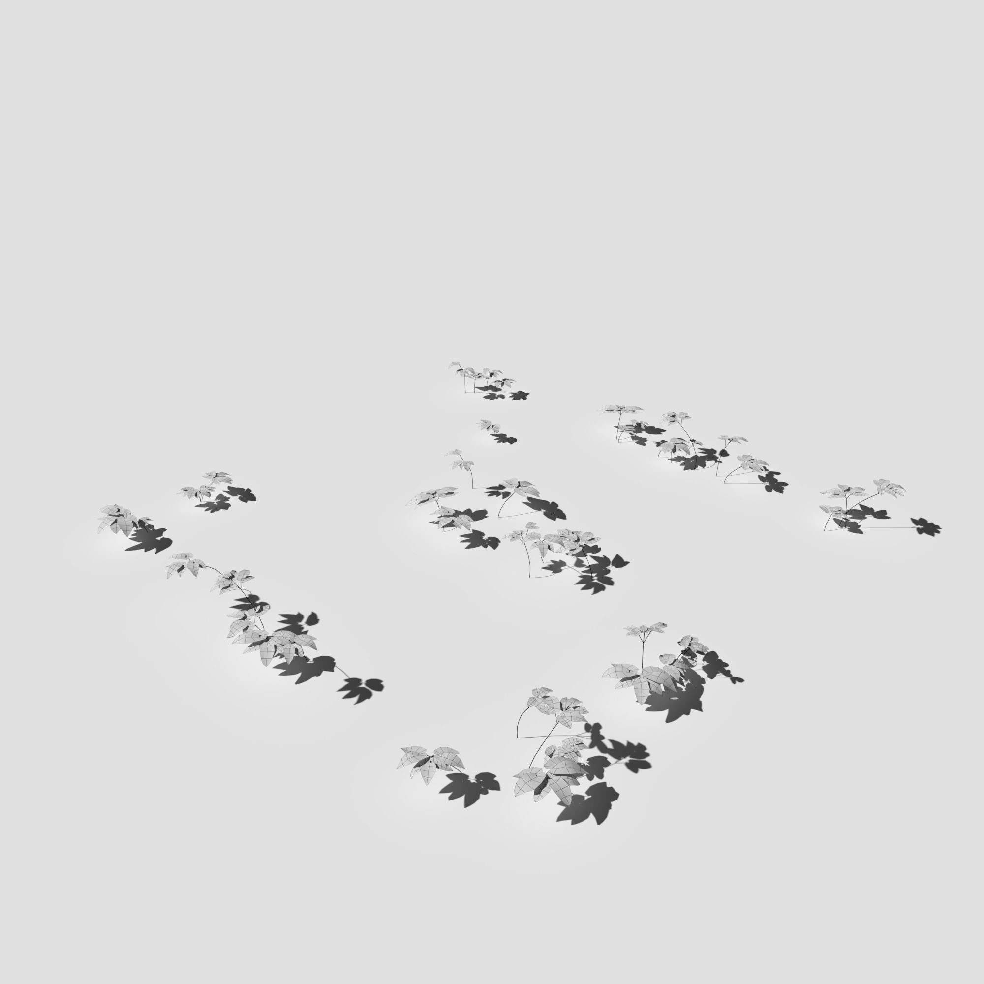 Poppy Meadow Patch and Free Gift 3D model_18