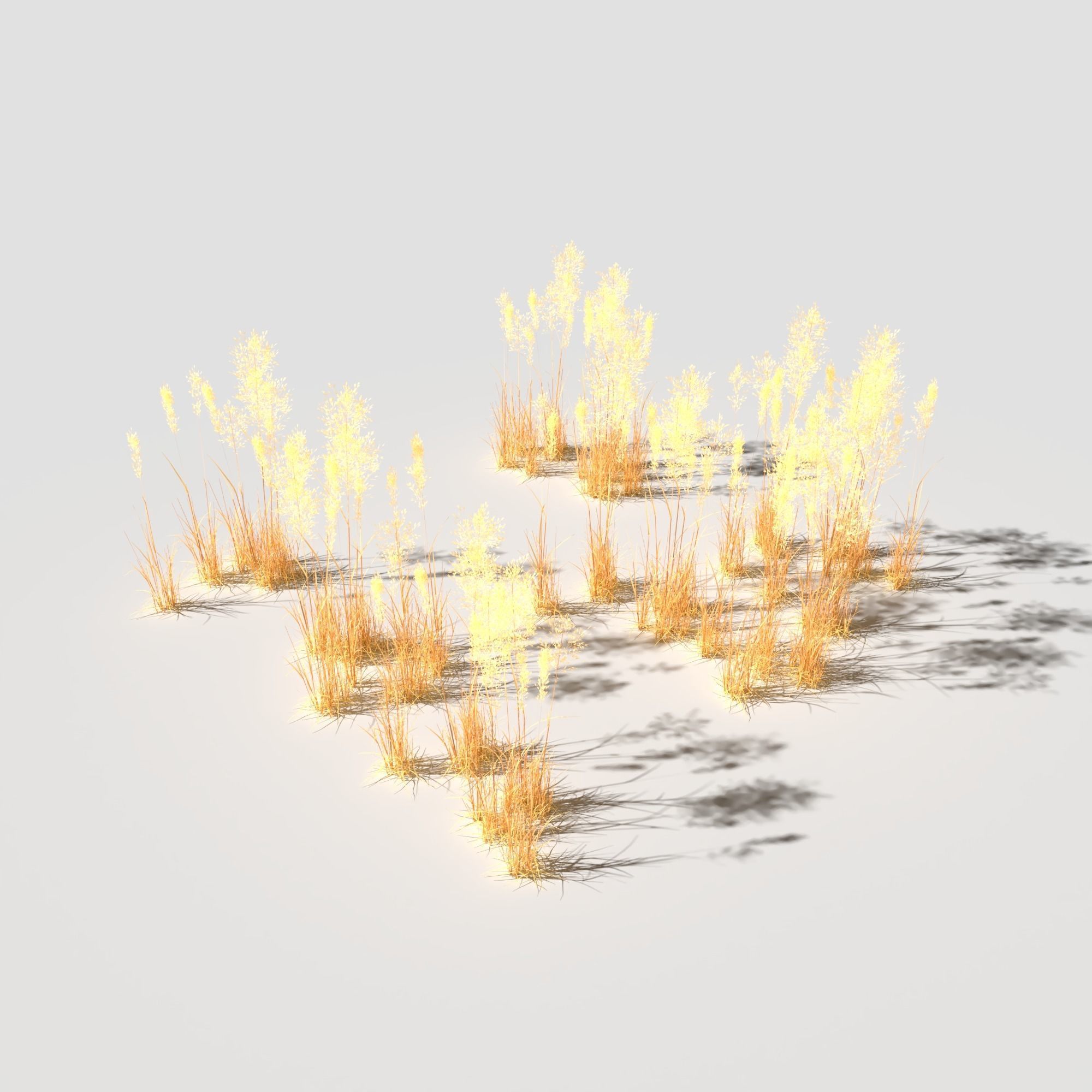 Poppy Meadow Patch and Free Gift 3D model_25