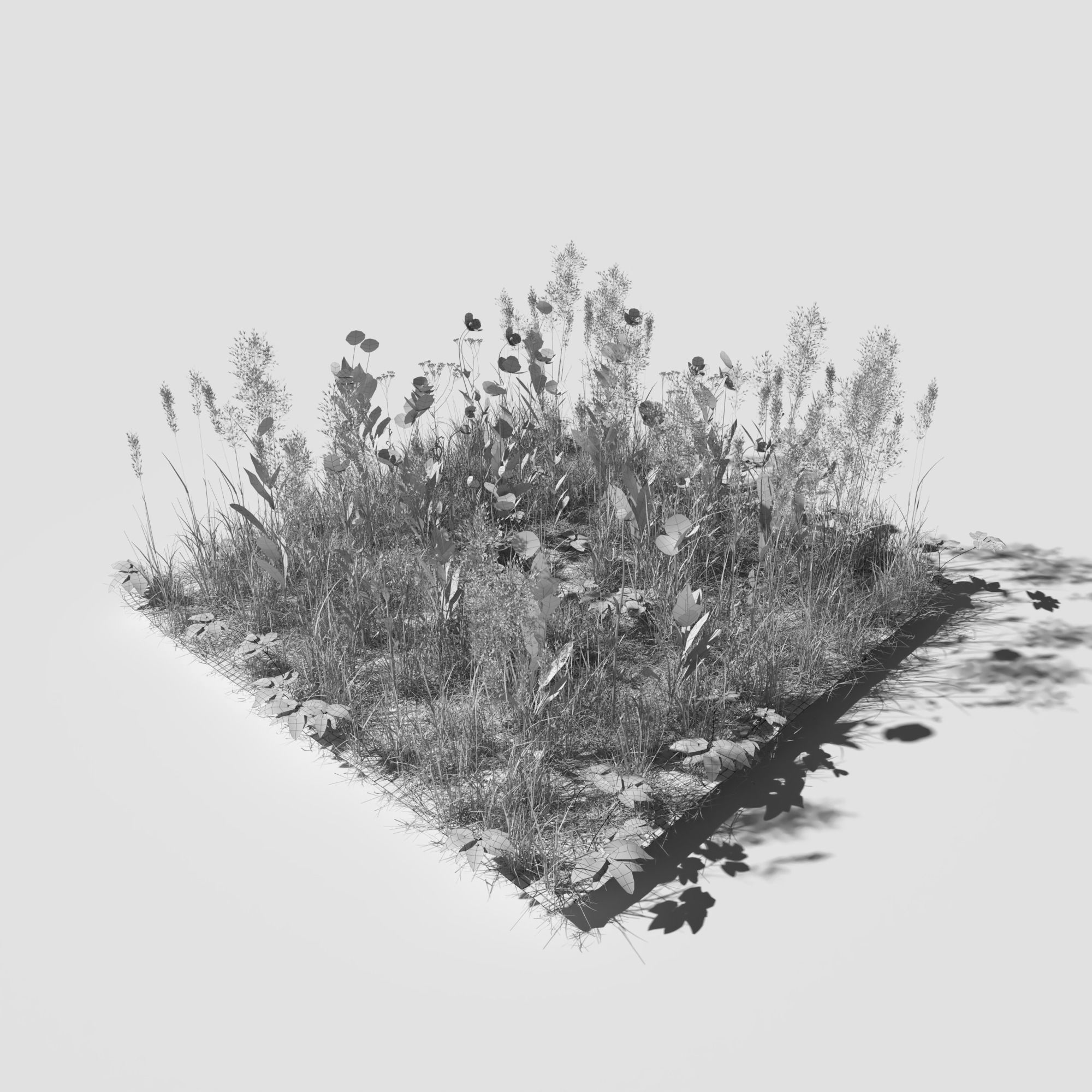 Poppy Meadow Patch and Free Gift 3D model_12