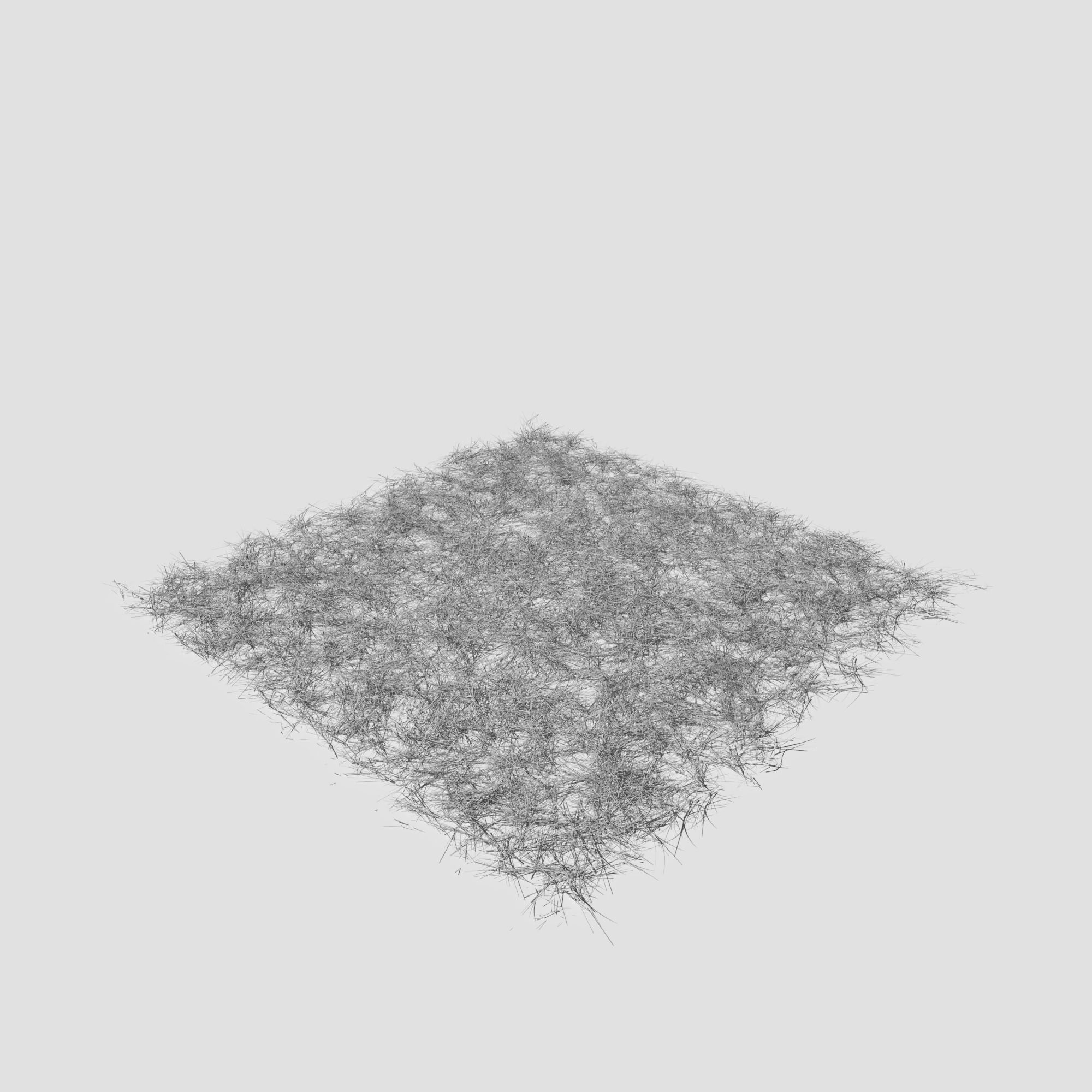 Poppy Meadow Patch and Free Gift 3D model_22