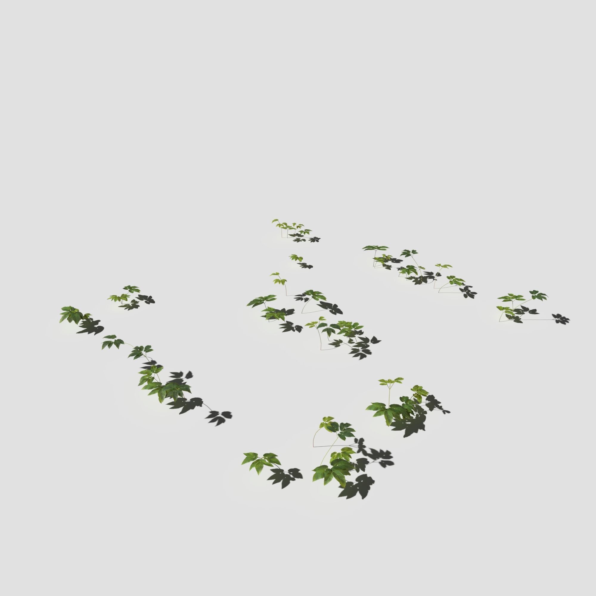 Poppy Meadow Patch and Free Gift 3D model_17