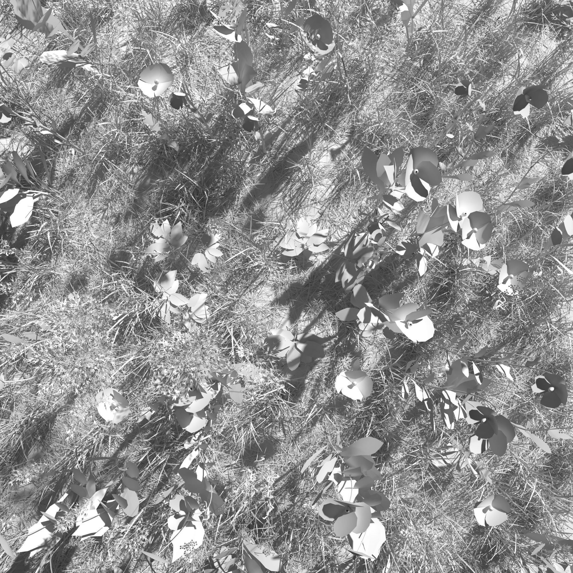 Poppy Meadow Patch and Free Gift 3D model_10