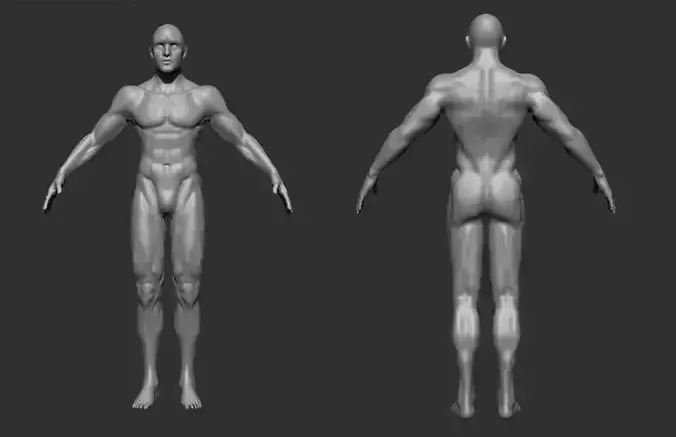 Highpoly Man body