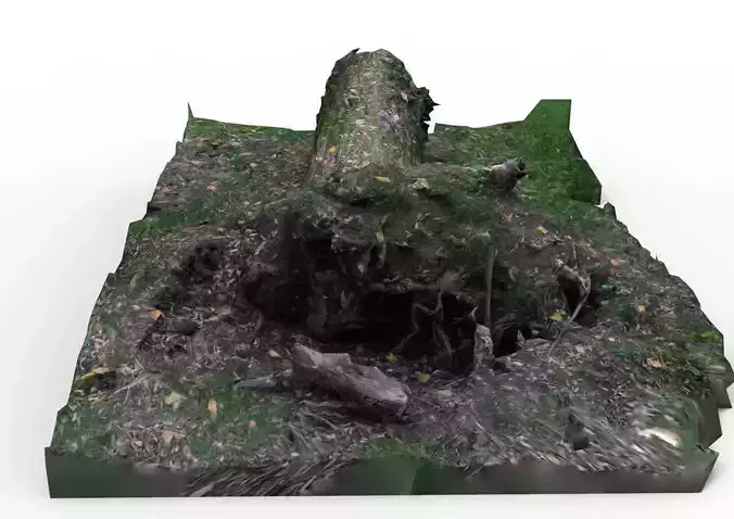 Fallen tree trunk Low-poly 3D model