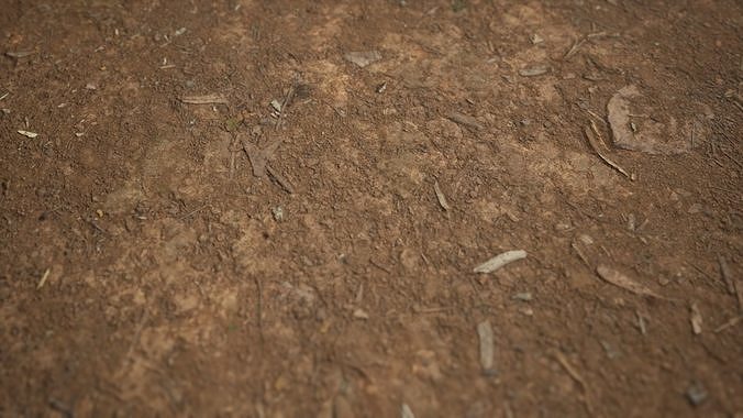 Tilia Dirt Texture 8K Photoscanned 2mx2m  Low-poly 3D model