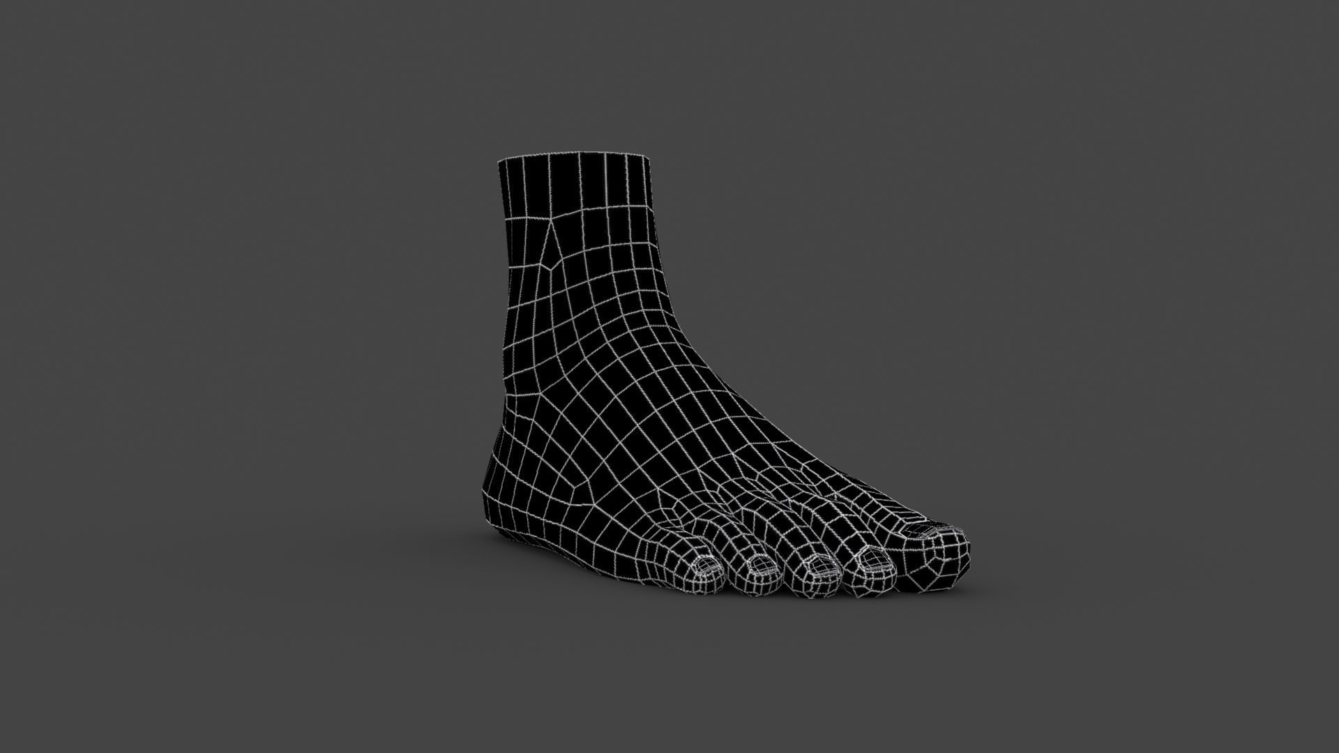 3D model FOOT-001 Rigged Right Foot VR / AR / low-poly rigged | CGTrader