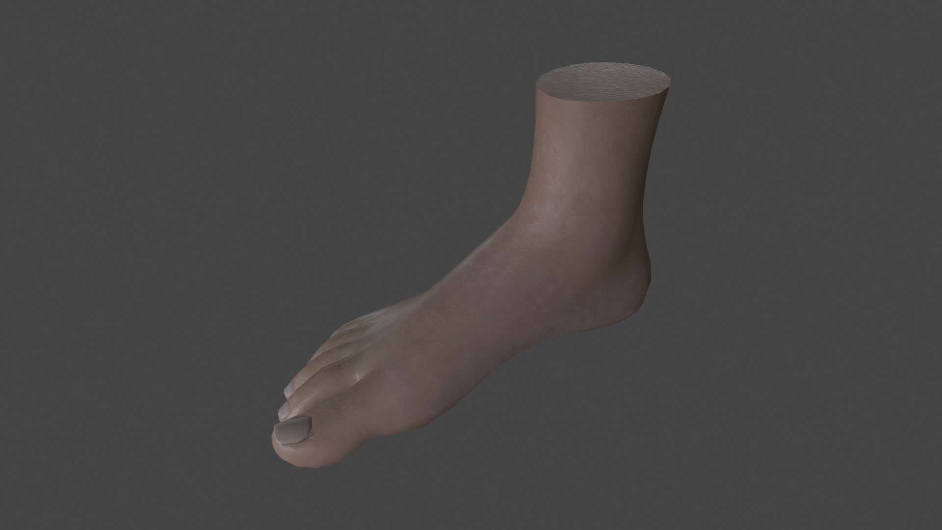 3D model FOOT-001 Rigged Right Foot VR / AR / low-poly rigged | CGTrader