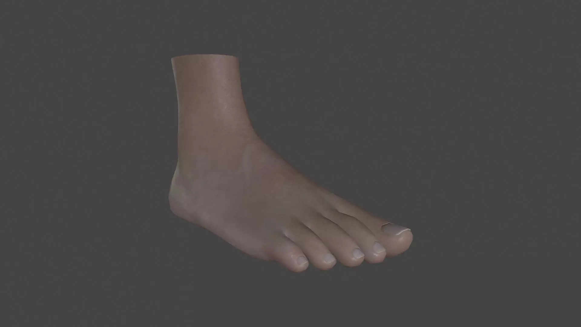 FOOT-001 Rigged Right Foot Low-poly 3D model