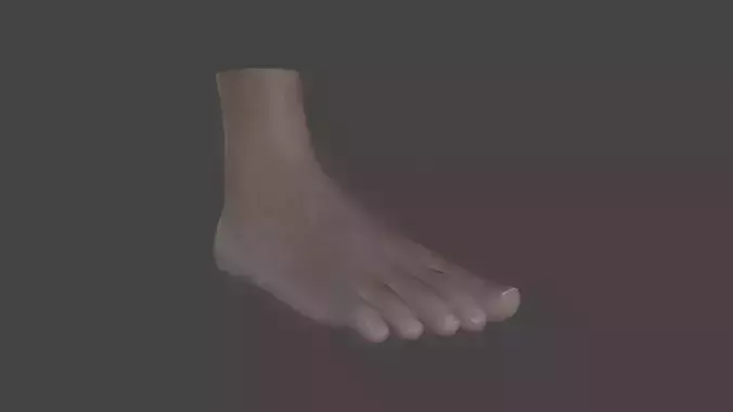 FOOT-001 Rigged Right Foot Low-poly 3D model