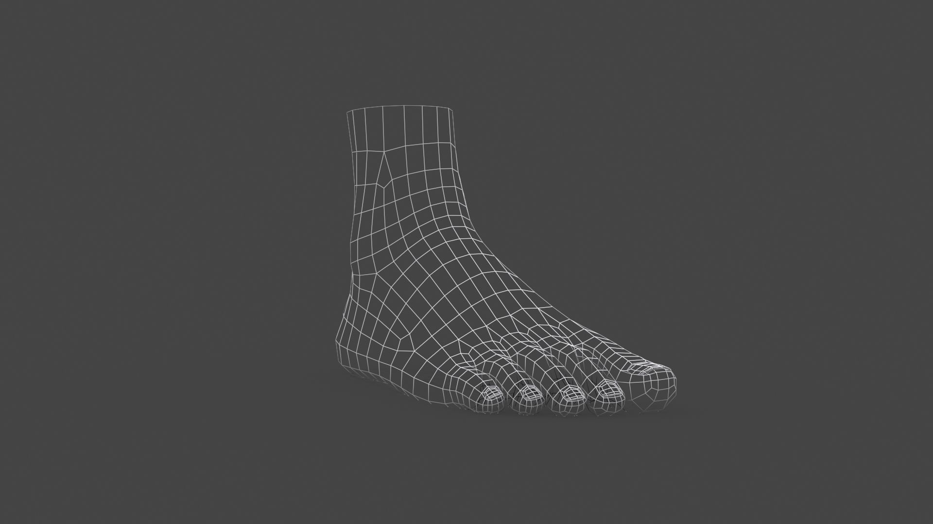 3D model FOOT-001 Rigged Right Foot VR / AR / low-poly rigged | CGTrader