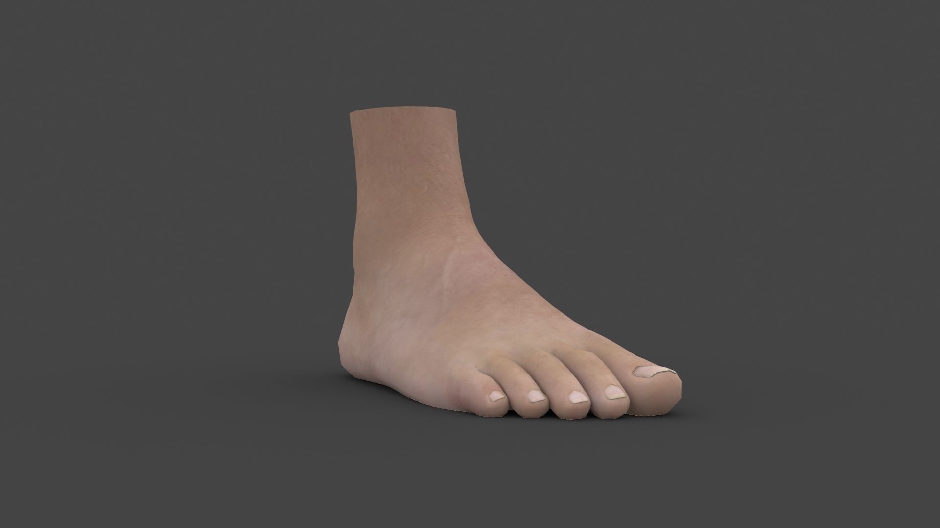 3D model FOOT-001 Rigged Right Foot VR / AR / low-poly rigged | CGTrader