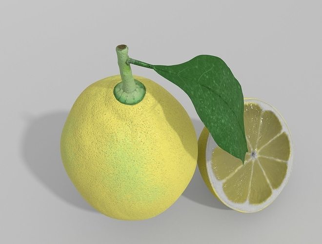 LEMON with leaf 3D model 4