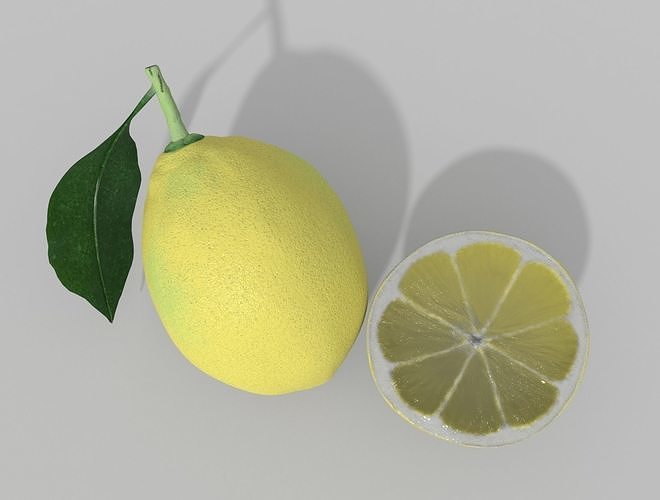 LEMON with leaf 3D model 7