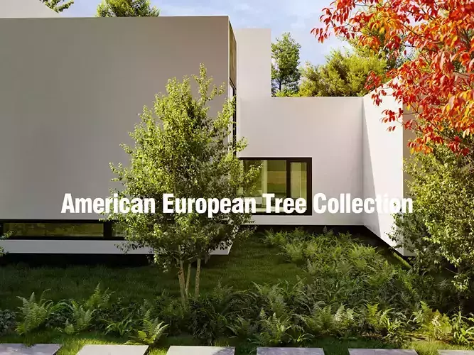 American European Tree - Include GrowFX and Mesh file 