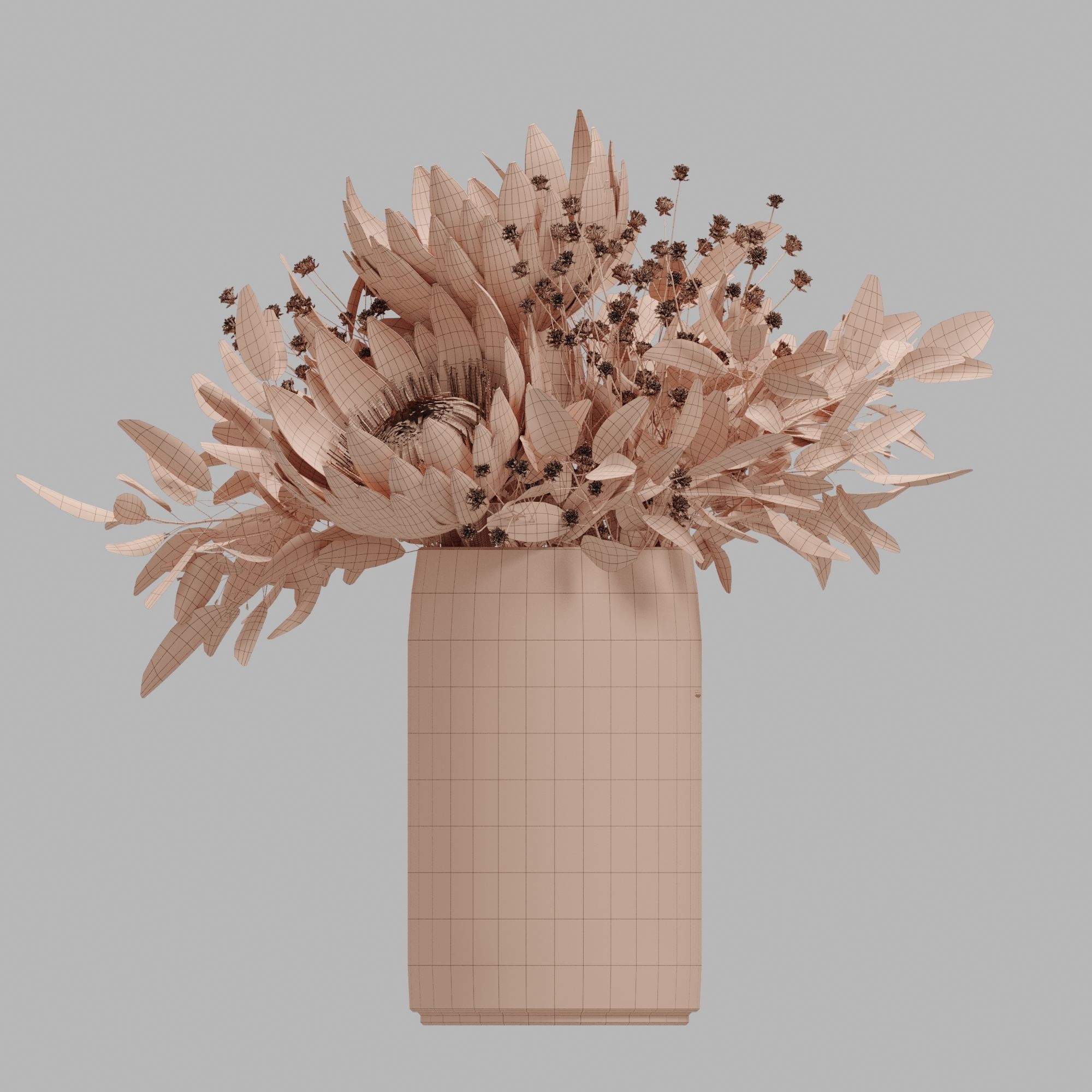 Protea set of flowers 3D model_2