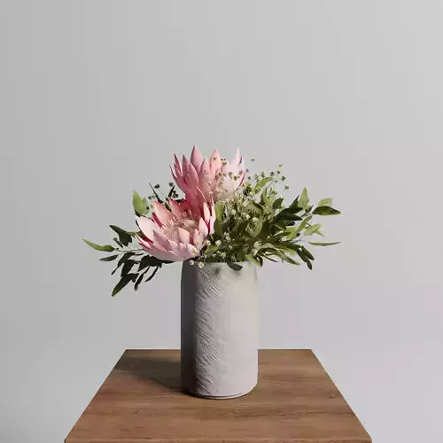 Protea set of flowers 3D model