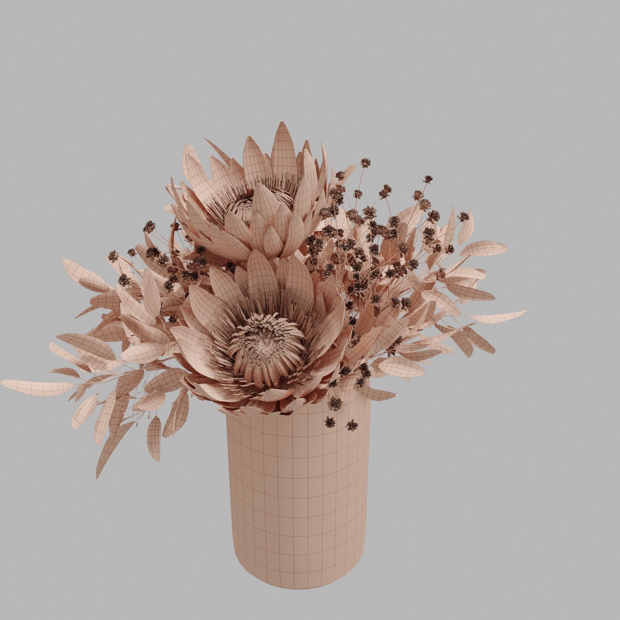 Protea set of flowers 3D model_3
