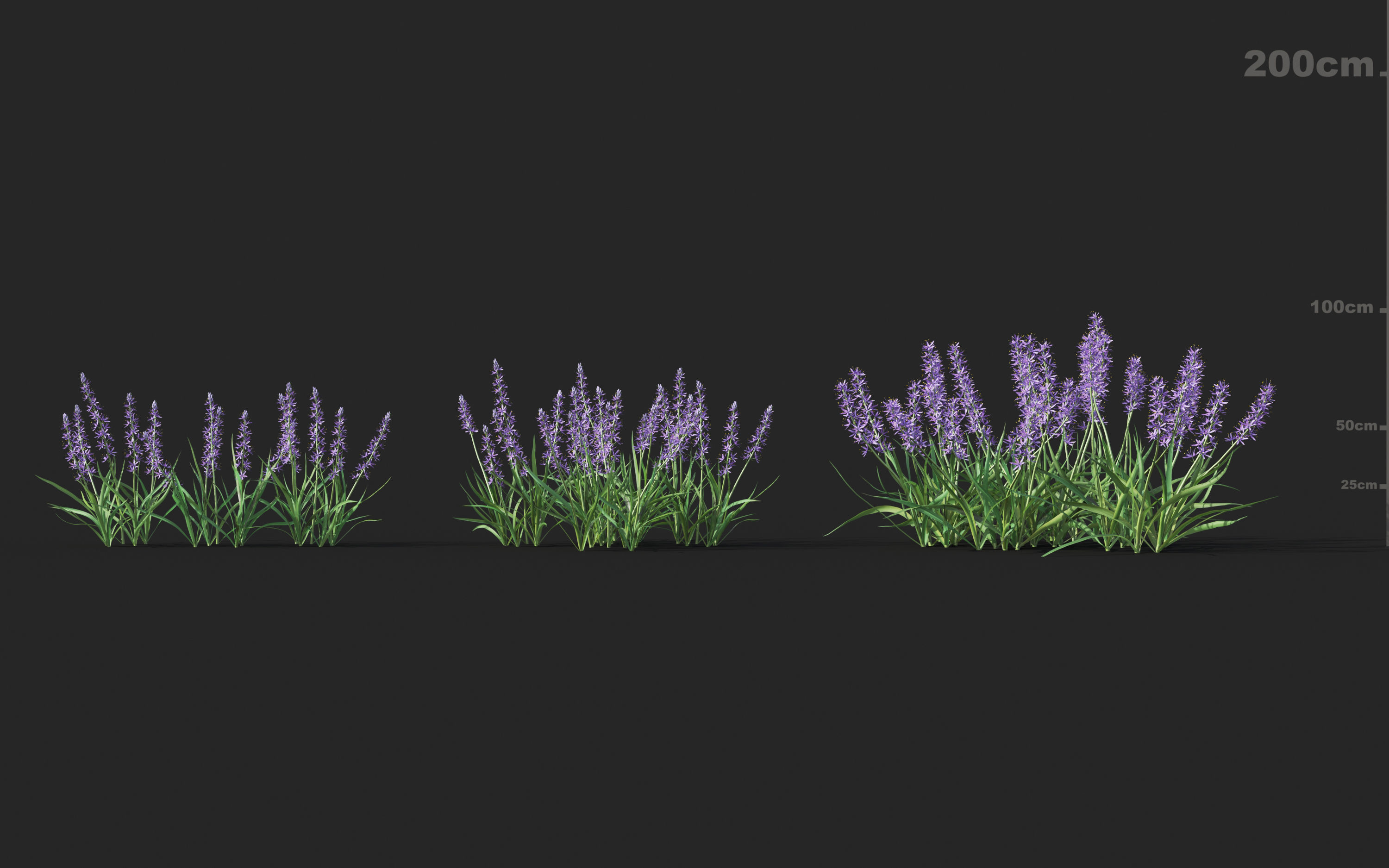 Shrub collection - Include GrowFX and Mesh file  3D model_9
