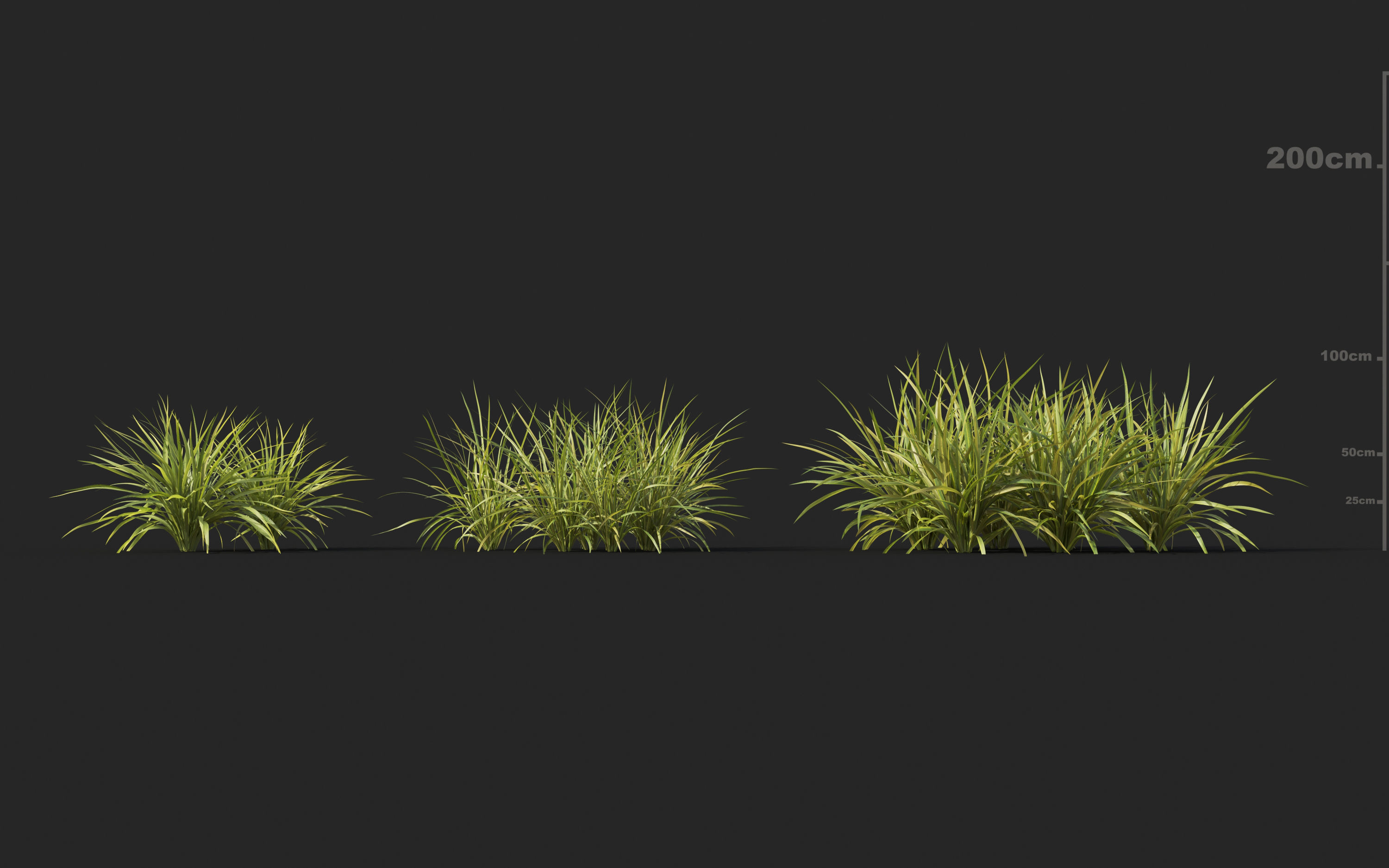 Shrub collection - Include GrowFX and Mesh file  3D model_19
