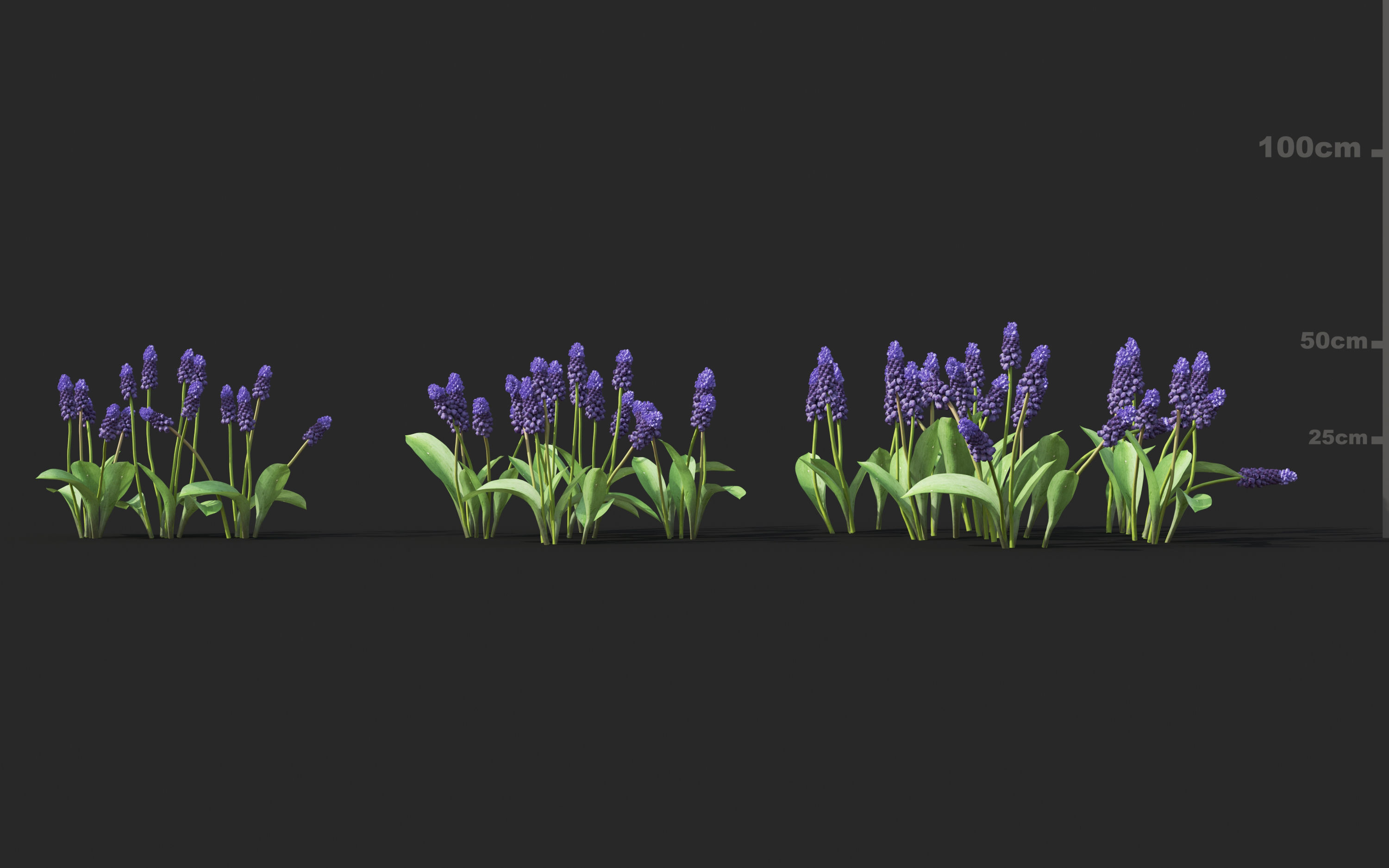 Shrub collection - Include GrowFX and Mesh file  3D model_17