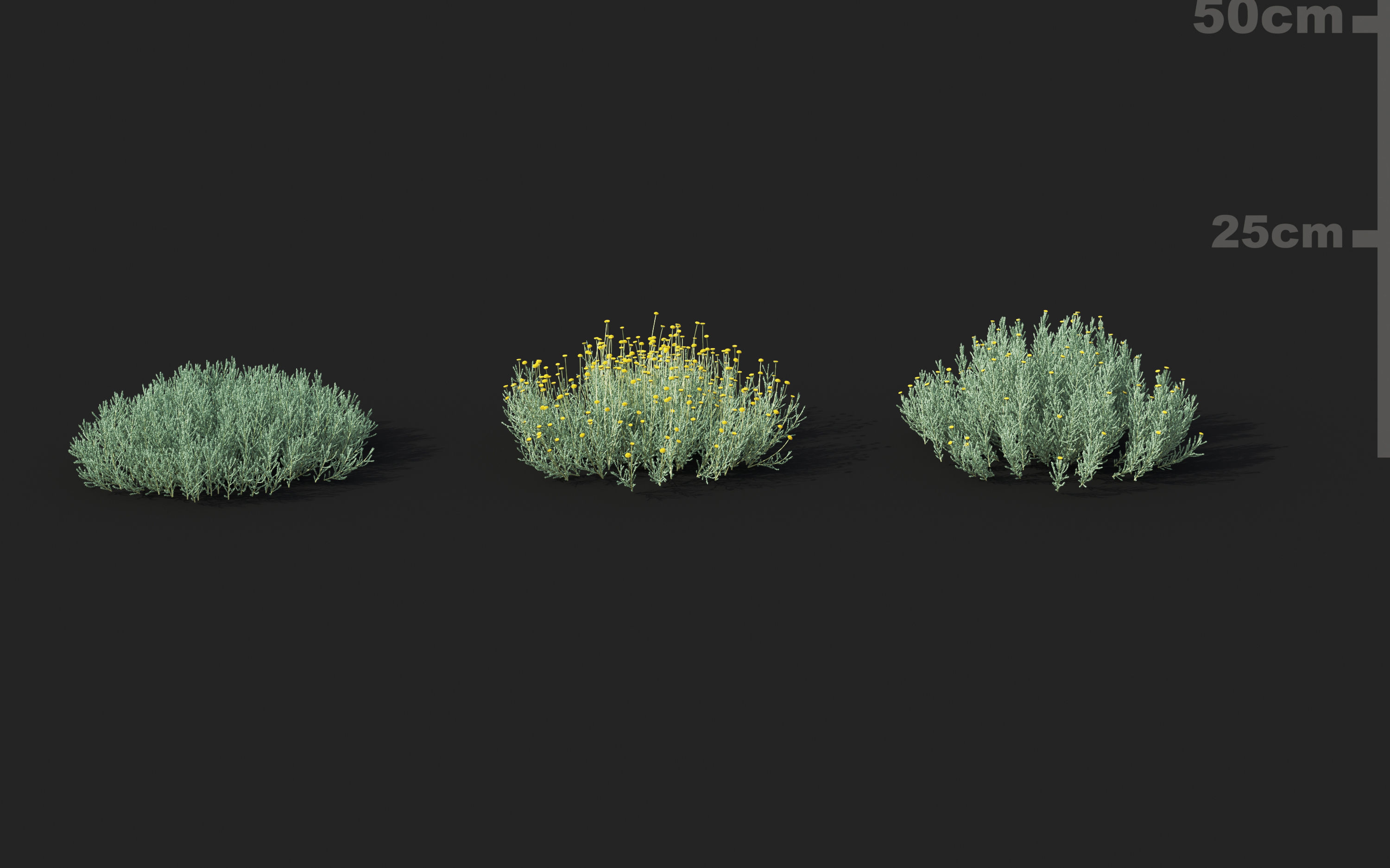Shrub collection - Include GrowFX and Mesh file  3D model_22