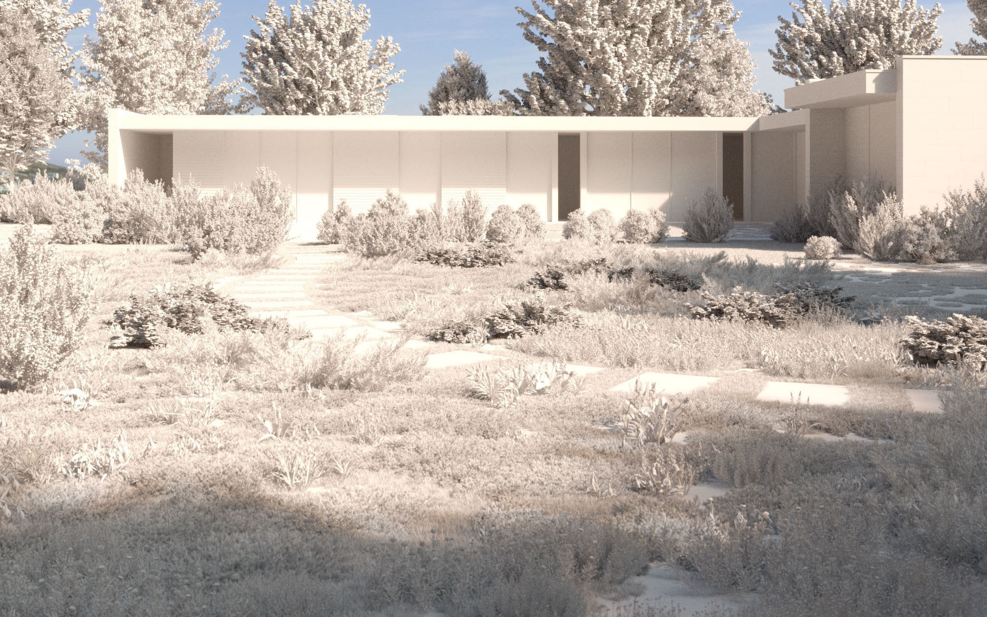 Shrub collection - Include GrowFX and Mesh file  3D model_5