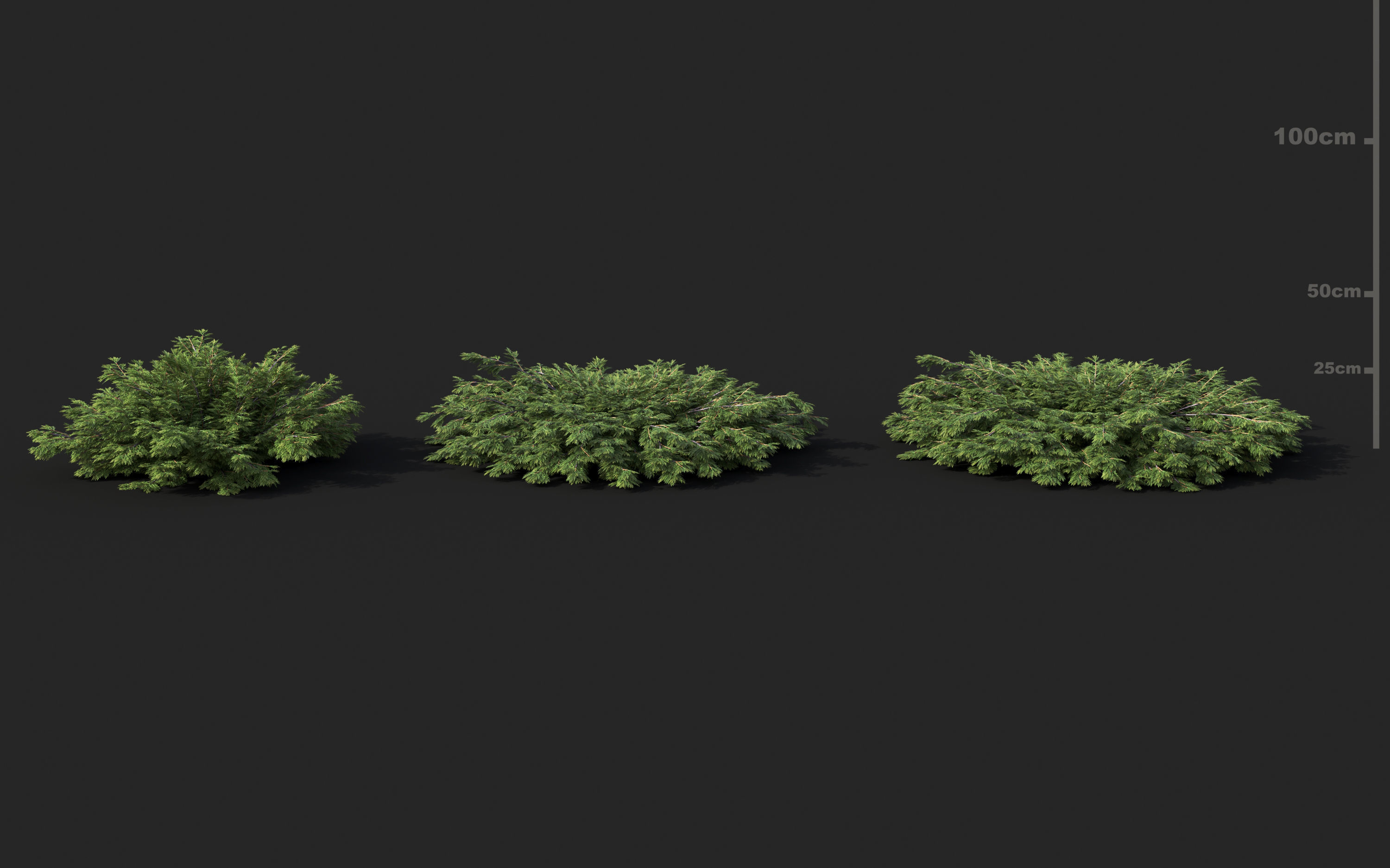 Shrub collection - Include GrowFX and Mesh file  3D model_15