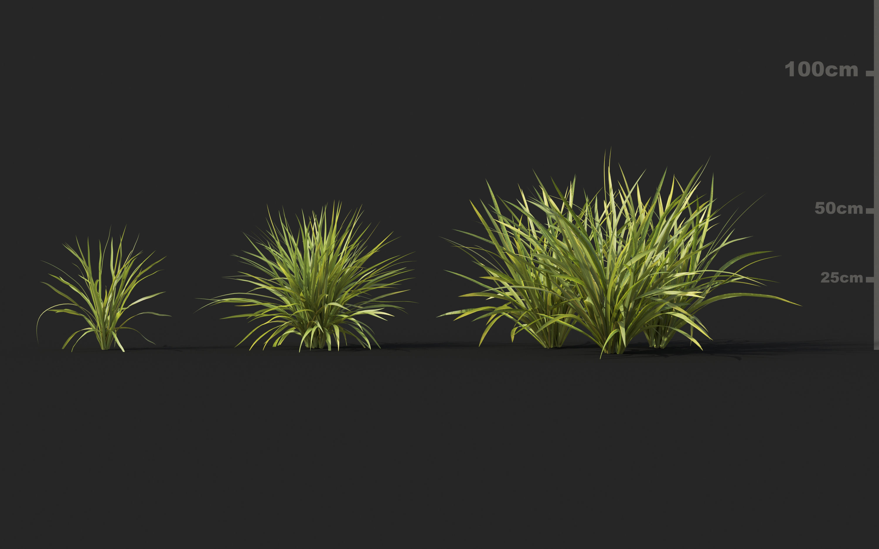 Shrub collection - Include GrowFX and Mesh file  3D model_18