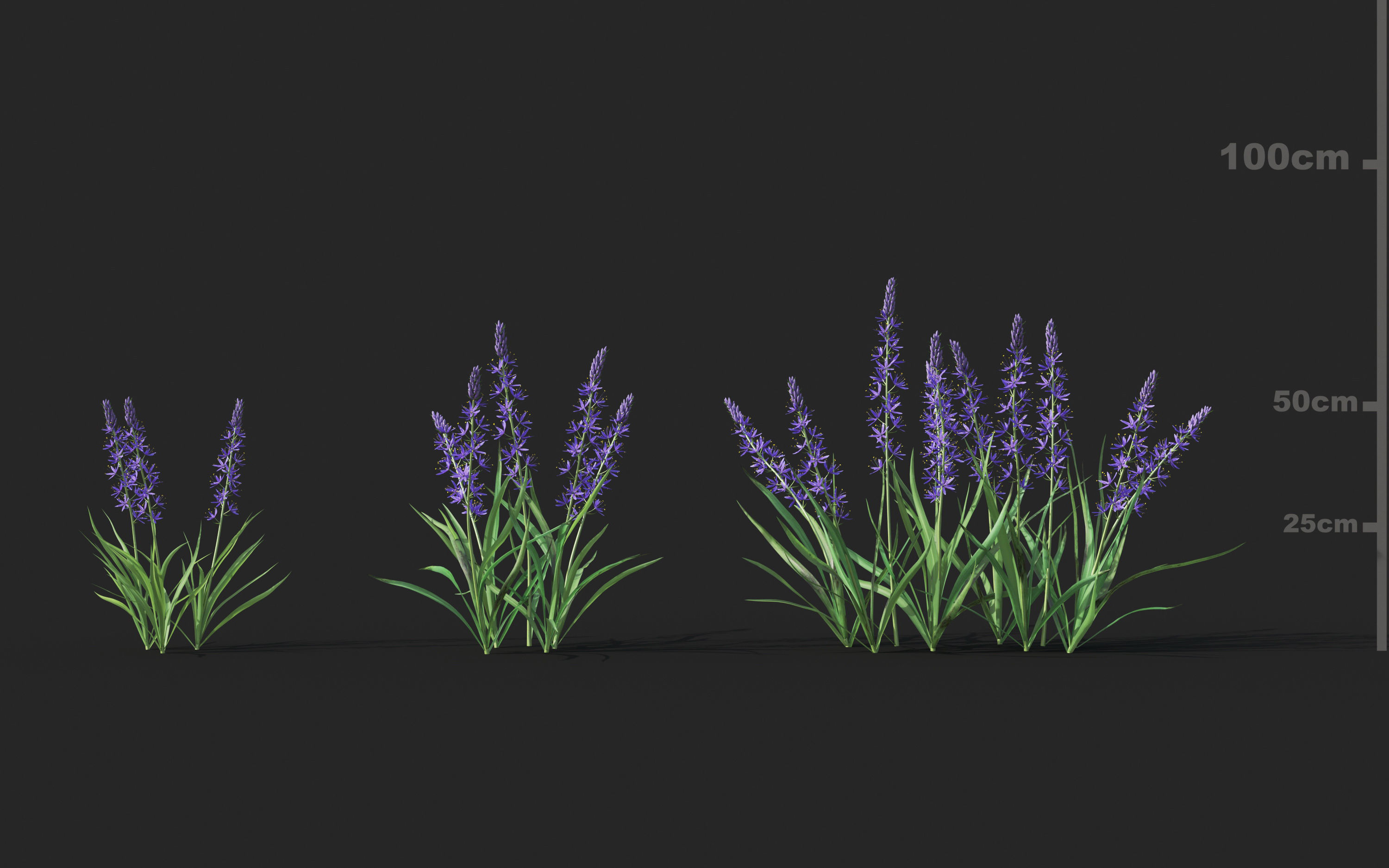 Shrub collection - Include GrowFX and Mesh file  3D model_8
