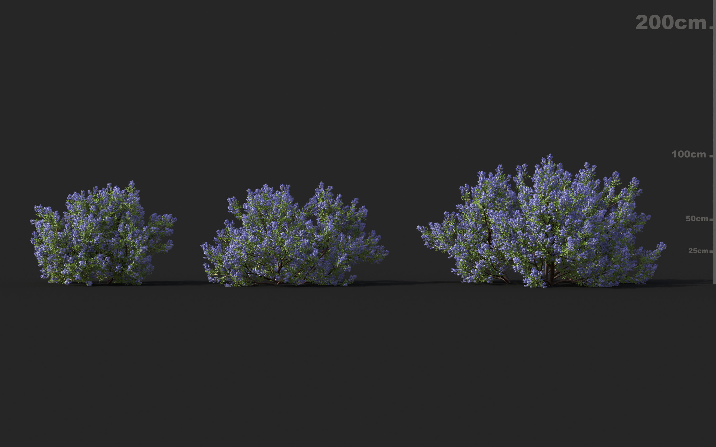 Shrub collection - Include GrowFX and Mesh file  3D model_25