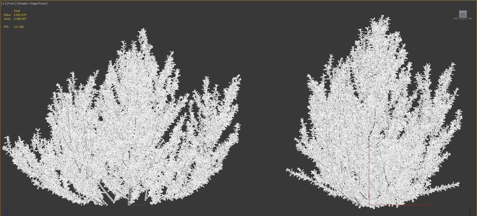 Shrub collection - Include GrowFX and Mesh file  3D model_52