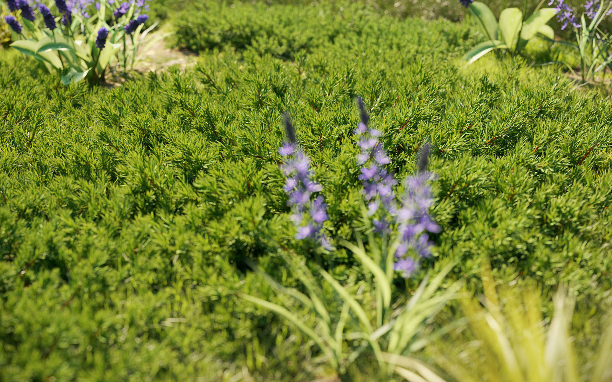 Shrub collection - Include GrowFX and Mesh file  3D model_2