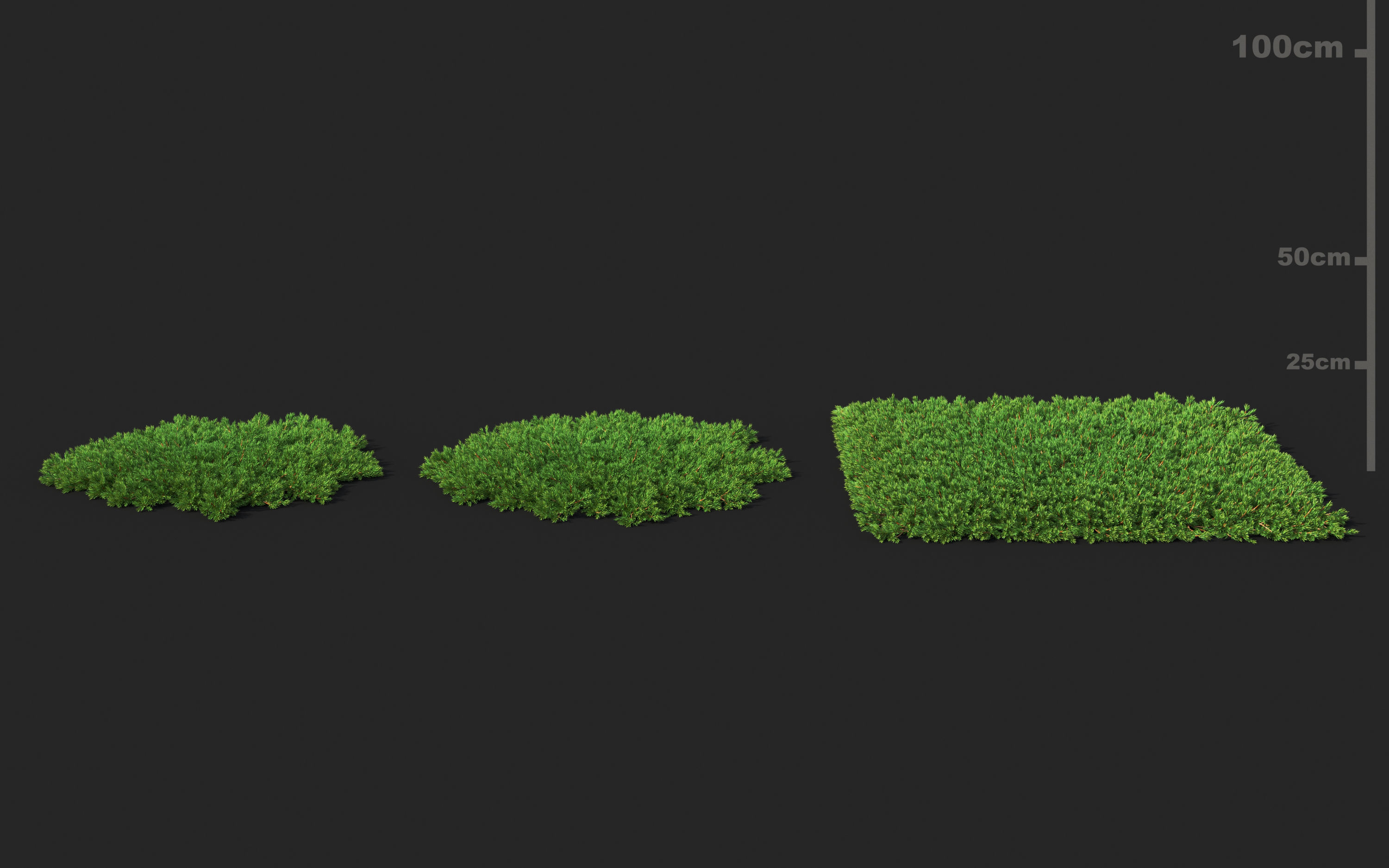 Shrub collection - Include GrowFX and Mesh file  3D model_21