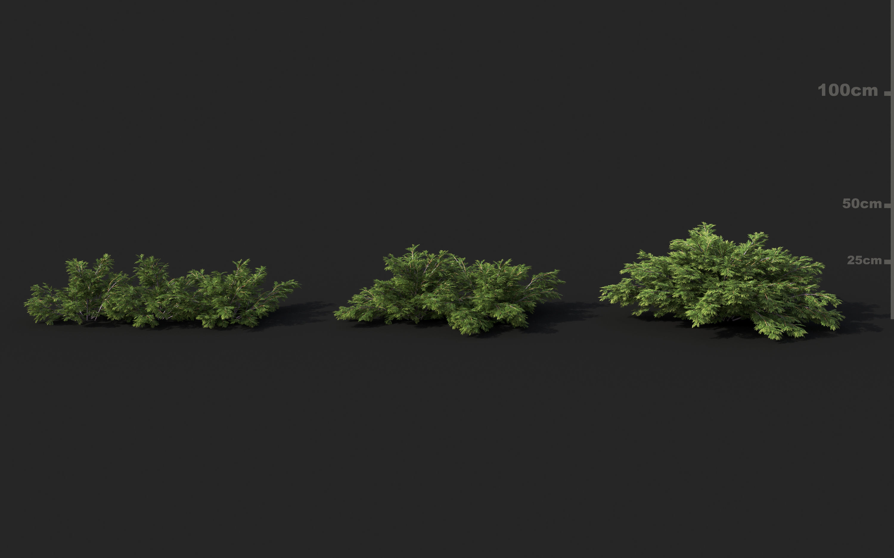 Shrub collection - Include GrowFX and Mesh file  3D model_14