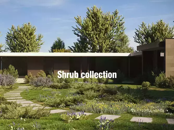 Shrub collection - Include GrowFX and Mesh file  3D model