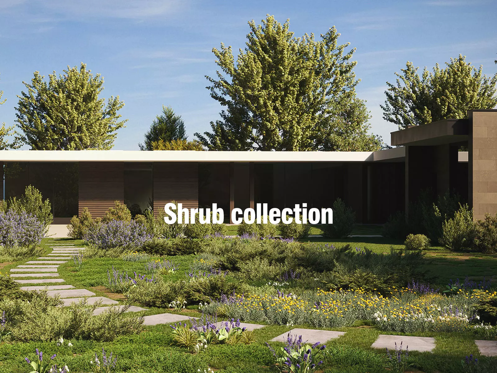 Shrub collection - Include GrowFX and Mesh file  3D model_0