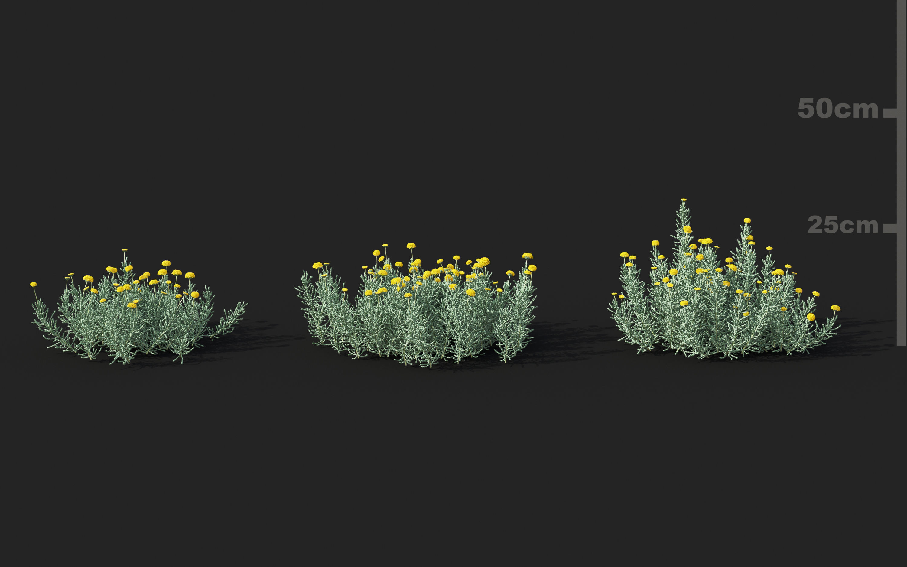 Shrub collection - Include GrowFX and Mesh file  3D model_23