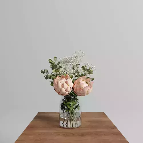 Protea set 2 proteas in glass vase