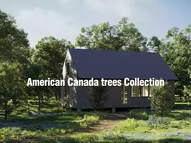 American Canada trees - Include GrowFX and Mesh file  3D model