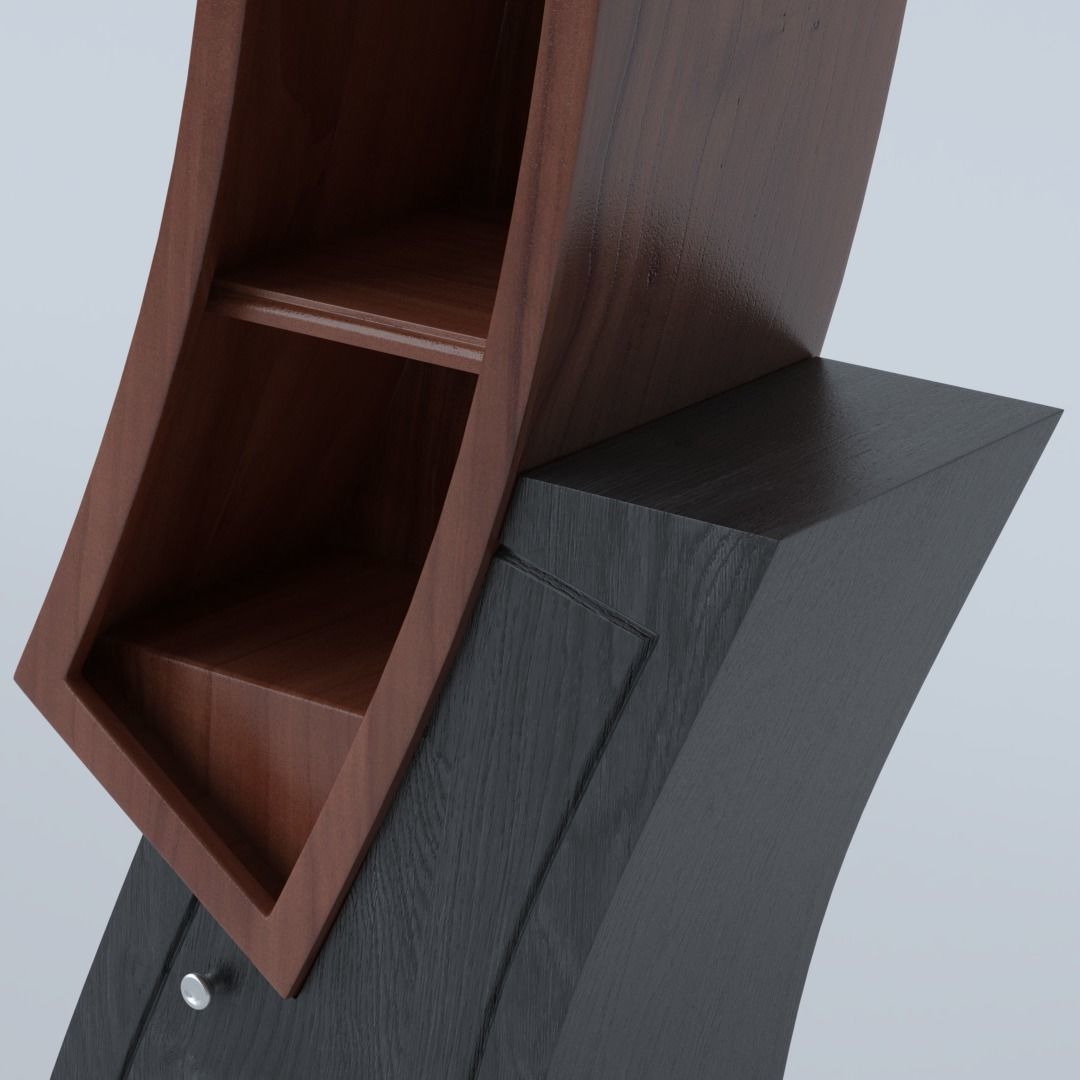 Cupboard bookcase with curved shape 3D model_2